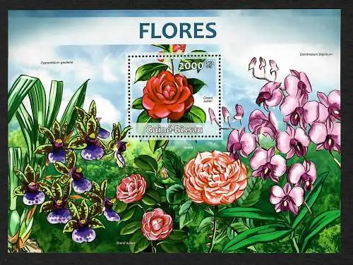 Guinea-Bissau 2013: Grand sultan, Noemi, ... flowers, Blumen, Pflanzen, **