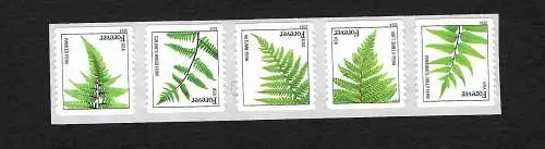 USA 2014: Farne, Painted Fern, Wood Fern, ... 5x stamps, mnh