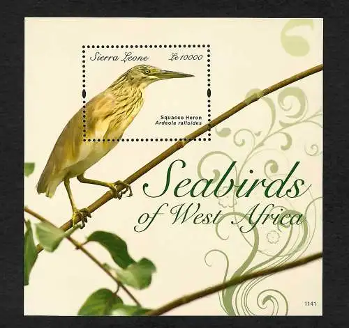 Sierra Leone: Seabirds of West Africa, Squacco Heron, Reiher, mnh