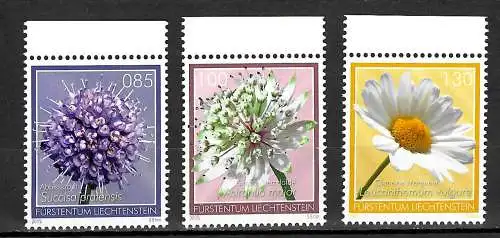 Liechtenstein 2015: Magerwiesenblumen, Abbisskraut, Margarete, Ferndolde, **