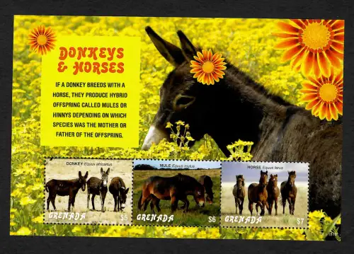 Grenada: Donkeys & Horses, Esel und Pferde, postfrisch