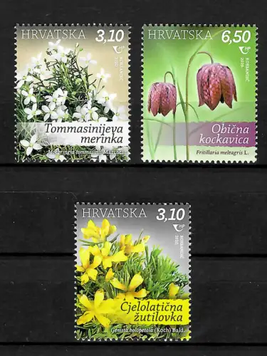 Kroatien 2020: Blumen, postfrisch