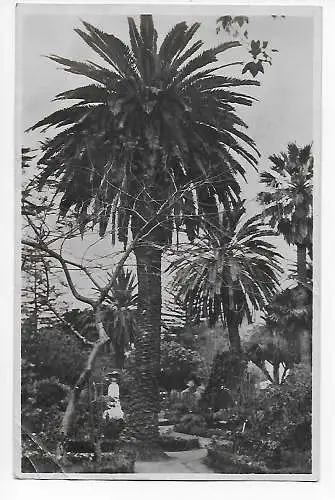 Ansichtskarte Madeira, Funchal 1930: Seepost Bremen La Plata
