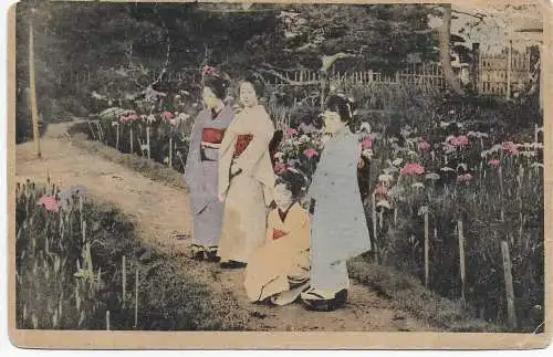 Niederländisch Indien: picture post card to Germany