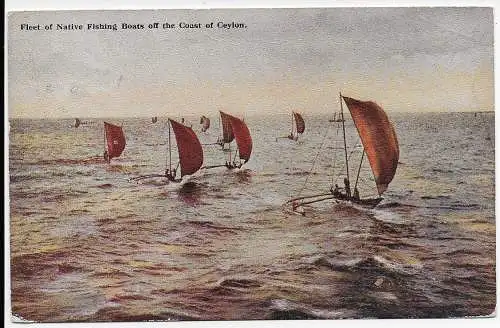 Ceylon: picture post card 1928, Perfin, Colombo to Dresden