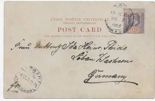 Singapore: picture postcard Greetings from Singapore, 1903 to Germany