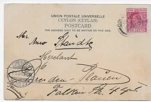 Ceylon: picture post card 1904 to Dresden