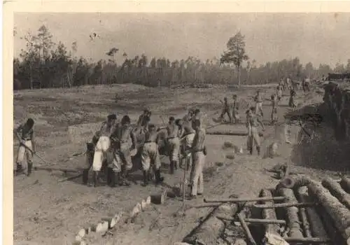 Feldpost: AK Arbeitsdienst 1942