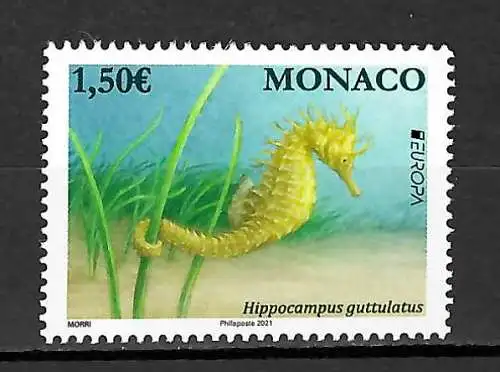 Monaco 2021: Europa: Gefährdete Tierwelt, Seepferd, sea horse, **