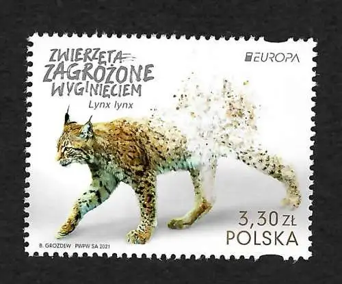 Polen 2021, Europa: Bedrohte Tiere: Luchs, postfrisch