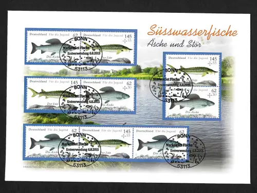 Bund 2015: Süsswasserfische Äsche und Stör, Zusammendrucke, FDC