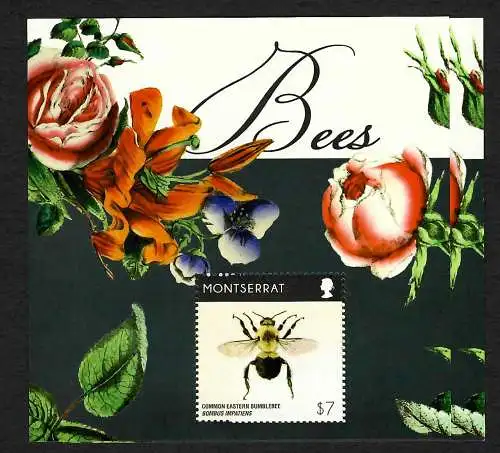Montserrat: Bienen, Bees, postfrisch