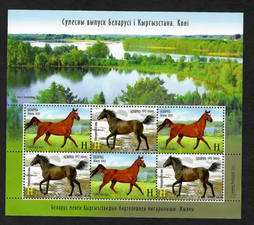 Belarus 2017: Pferede - Block, postfrisch