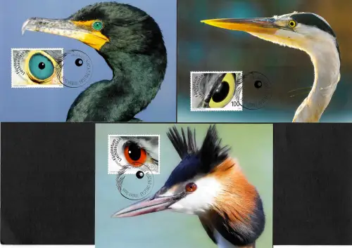 Liechtenstein 2018: 3x Maximumkarten: Künstlerische Fotografien, Vogelaugen