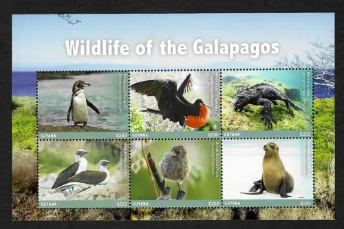 Guyana 2017: Wildlife of the Galapagos, Block, **