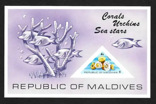 Malediven: Korallen, Corals, Urchins, Sea Stars, Seesterne, Block **