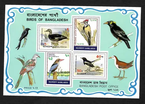 Bangladesh: Birds, Vögel  **