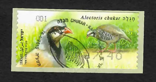 Israel 2015: Alectoris chukar, Huhn, gestempelt