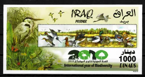 2010: International year of Biodiversity, Enten, dugs, Vögel, postfrisch, **