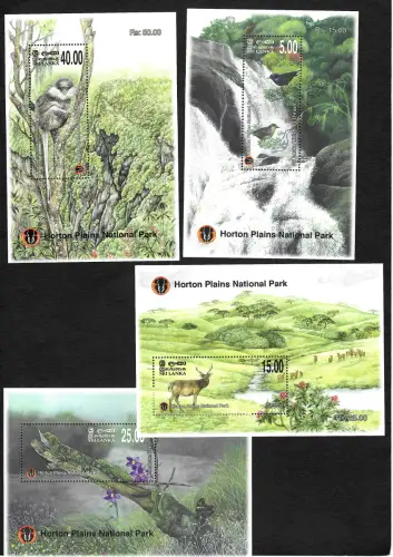 Sri Lanka: Horton Plains National Park, Sambur, Rhihnohorn Lizard, Monkey, **