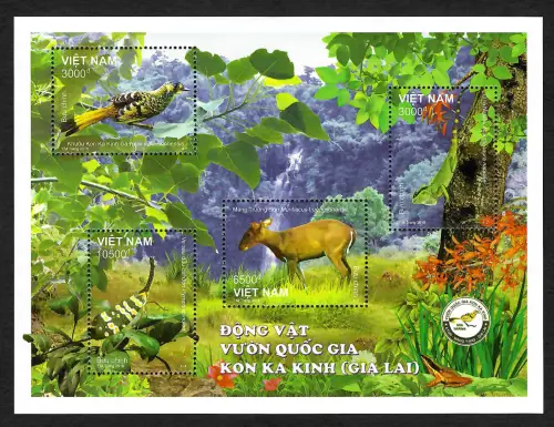 Vietnam 2018: Tiere: Dong Vat, Voun Quoc Gia, Kon Ka Kinh, mnh