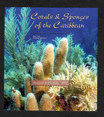 Antigua&Barbuda 2018: Corals and Spnges of the Caribbean, Bloc  mnh **