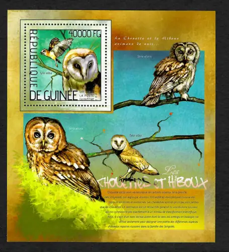 Guinea 2019: Eulen, Block postfrisch