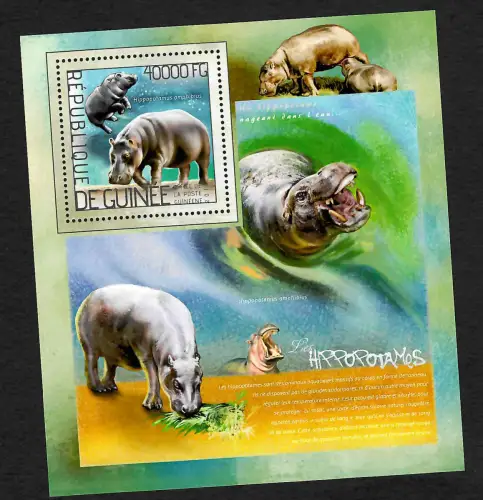 Guinea 2014: Tiere - Nilpferde, Flusspferde, Hippos, Block postfrisch