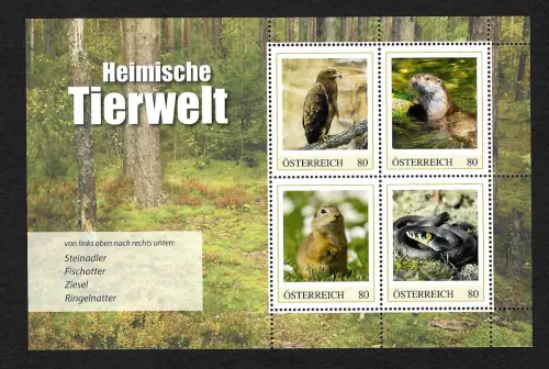Österreich: Heimische Tierwelt, Steinadler, Fischotter, Ziesel, Ringelnatter, **