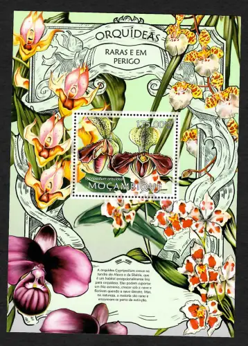 Mocambique 2013: Orquideas, Orchideen, Block postfrisch **