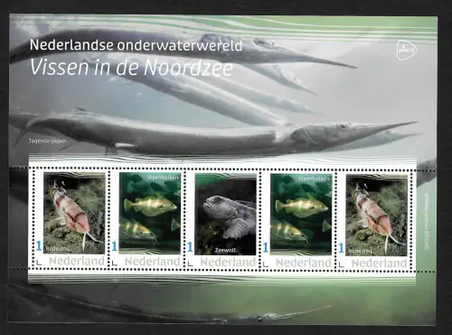 Niederlande 2022: Vissen in de Noordzee, Fische der Nordsee, postfrisch