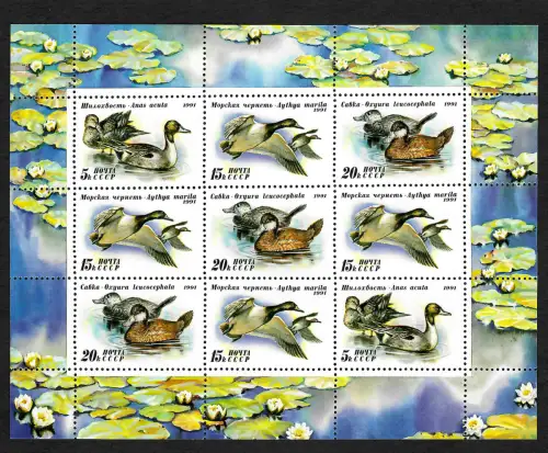 Russland 1991: Enten #6011a, Kleinbogen, postfrisch **