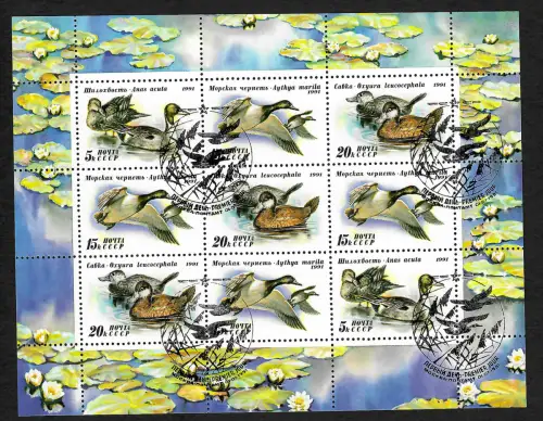 Russland 1991: Enten #6011a, Kleinbogen, gestempelt
