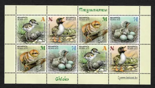 Belarus 2018: Küken, Kindervögel, Nester, chicks, postfrisch