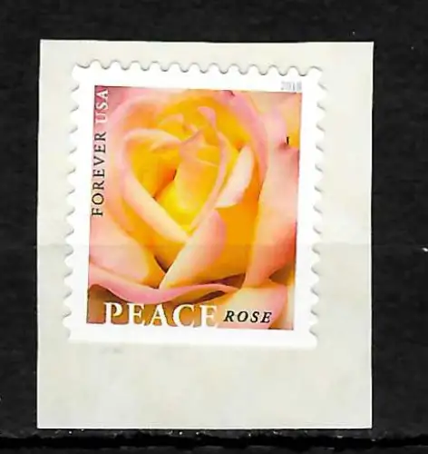 USA Forever 2018: Peace Rose, mnh, postfrisch