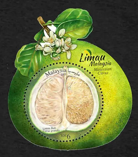 Malaysia 2018: Zitrusfrüchte, Limau Bali, Citrus grandis, Limette, postfrisch