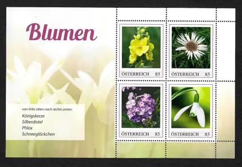 Österreich 2022: Blumen: Königskerze, Silberdistel, Phlox, Schneeglöckchen, **
