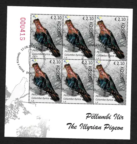 Kosovo 2021: Illyrische Taube, Pellumbi Ilir (Columba Ilyrica), gestempelt