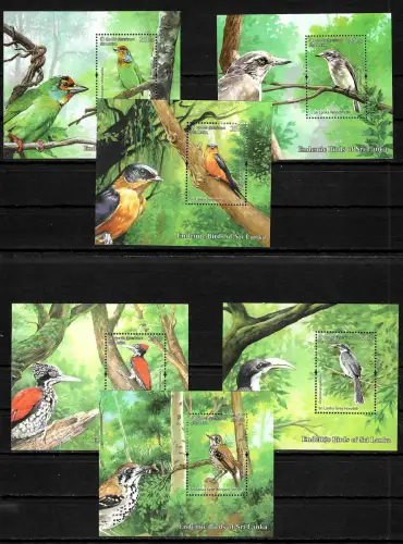 Sri Lanka 2022: Endemic Birds of Sri Lanka, 6x Blocks, postfrisch