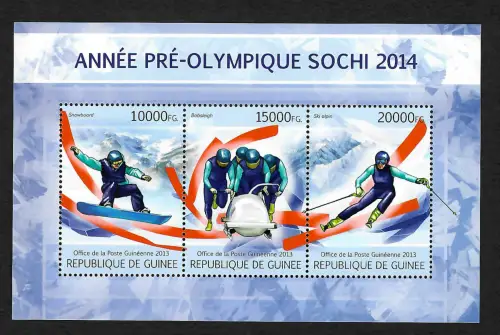Guinea 2013: : Ski alpin, Snowboard, Bobsleigh, postfrisch