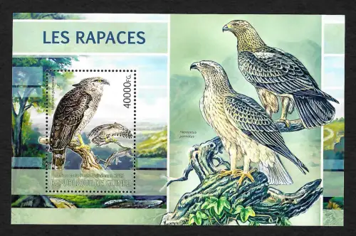 Guinea 2013: : Les Rapaces, Raubvögel, postfrisch