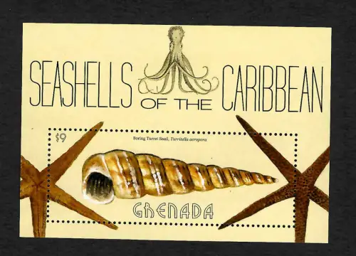 Grenada 2013: Seashells of the Caribbean II, postfrisch