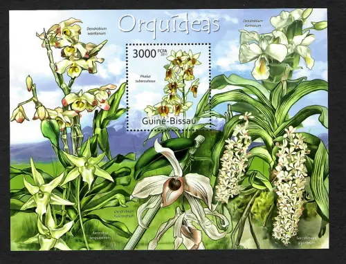Guinea-Bissau 2011: Phaius tuberculsus, Orchideen, postfrisch