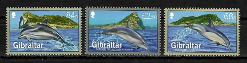 Gibraltar 2014: Delphine, dolphins, postfrisch