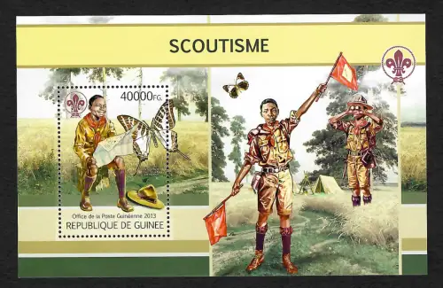 Guinea 2013: Scoutisme, Pfadfinder II, #9776, postfrisch