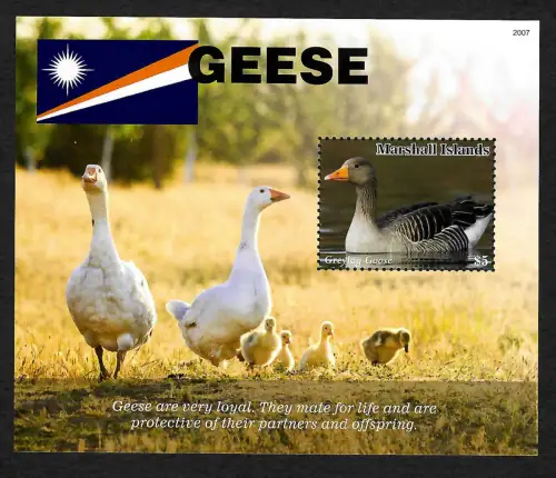 Marshall Islands 2021: Geese, Gänse, postfrisch