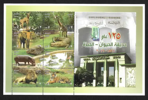 Ägypten 2016: Zoological Gardens, Elefant, Giraffe, Krokodil, Tiger, Löwe, ...