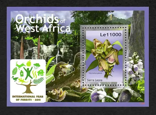 Sierra Leone 2017: Orchids of West Africa, Orchideen, Blumen, mnh **