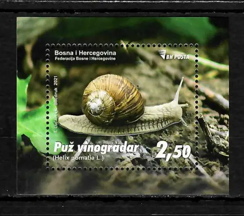 Bosnien Herzegovina 2021: Fauna: Weinbergschnecke, postfrisch