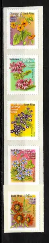 Südafrika 2021 5x Werte aus der Rolle: Ningizimu, Borwa, Dzonga, Sewula, Mzantsi